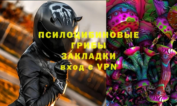 PSILOCYBIN Абинск