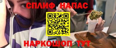 молекула духа Пенза
