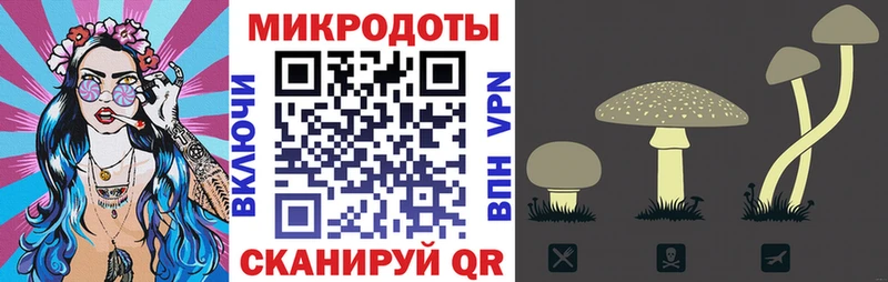 Псилоцибиновые грибы прущие грибы  дарк нет наркотические препараты  Шали 
