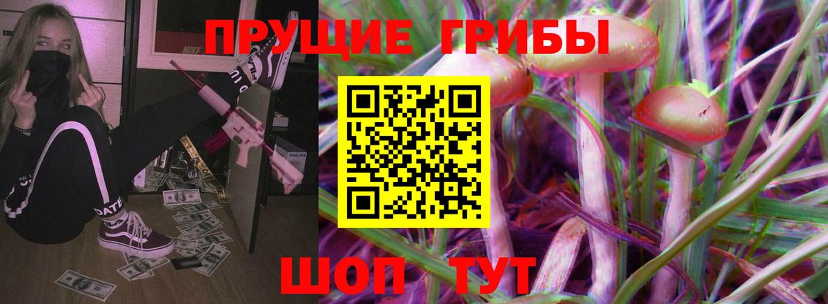 Псилоцибиновые грибы Psilocybe Шали