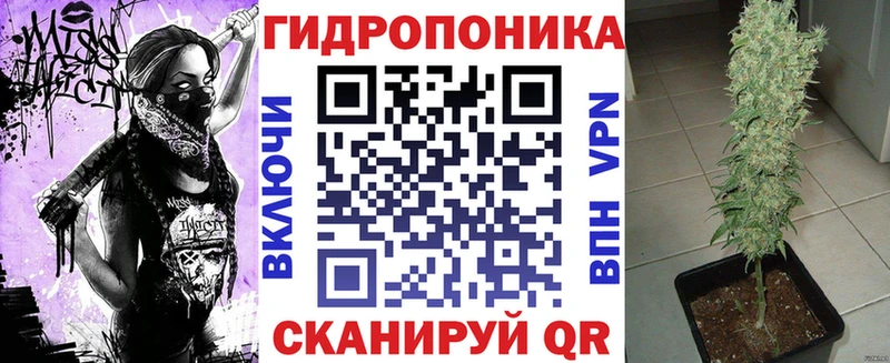 сколько стоит  Шали  kraken tor  Марихуана AK-47 
